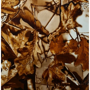 Folia do hydrografiki - Kamuflaż BC069-1